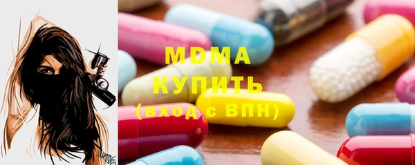 индика Алексин