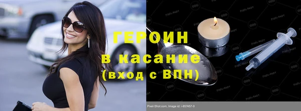 индика Алексин