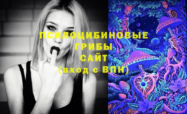 индика Алексин