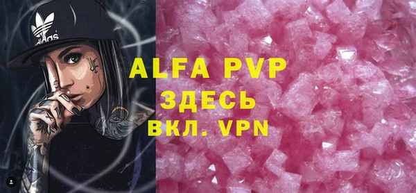 индика Алексин
