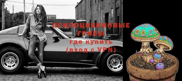 индика Алексин