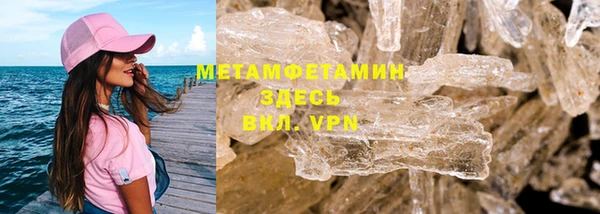 индика Алексин