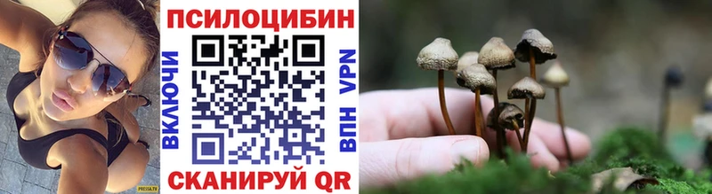 закладки  Тейково  Псилоцибиновые грибы прущие грибы 