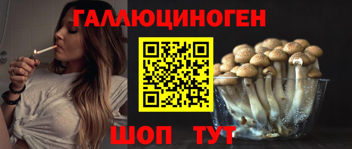 Тейково  Галлюциногенные грибы GOLDEN TEACHER  Вход с VPN 